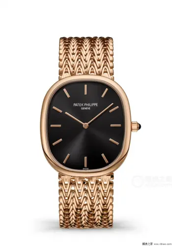 5738/1R Barrel-shaped watch Men s mechanical watch Replica PATEK PHILIPPE Mens Watches